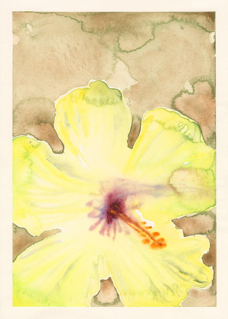 Liat Greenberg - Yellow Flower