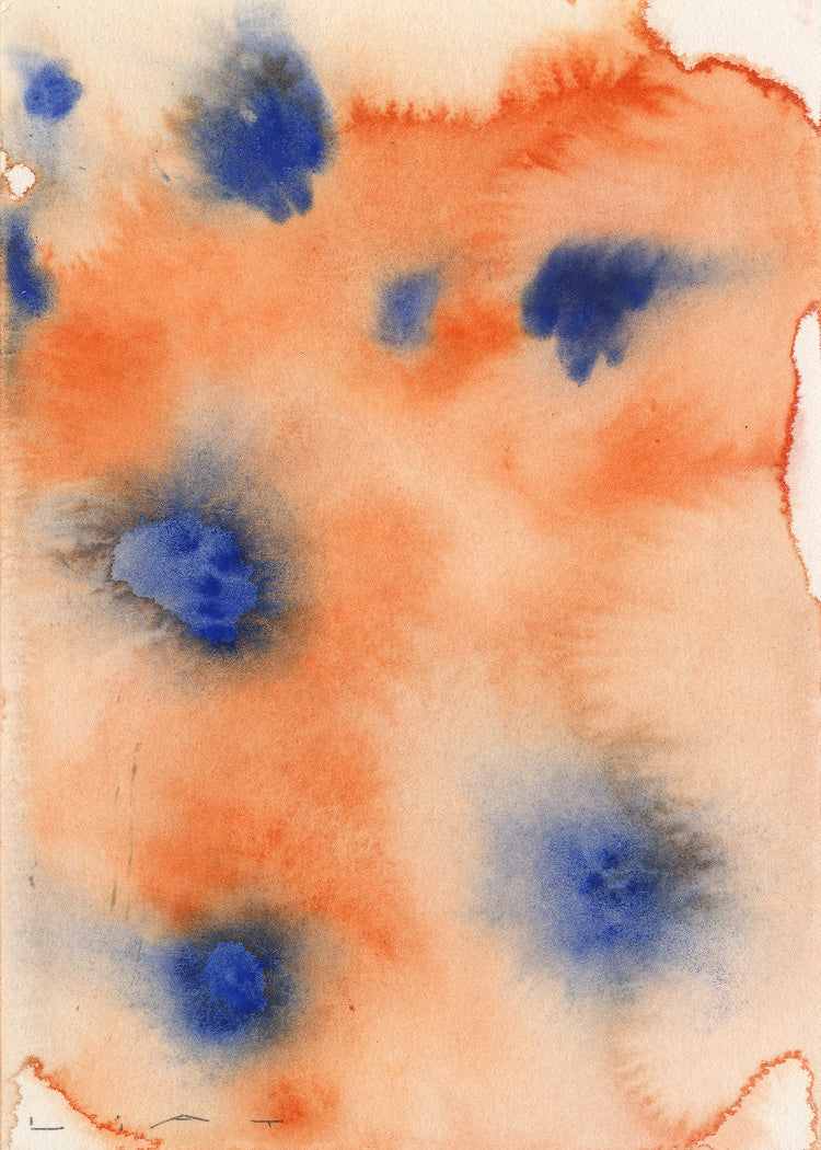 Liat Greenberg - Orange Flowers