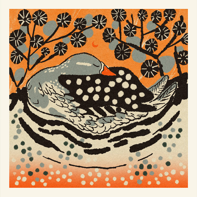 Enikő Eged - Sleeping Duck