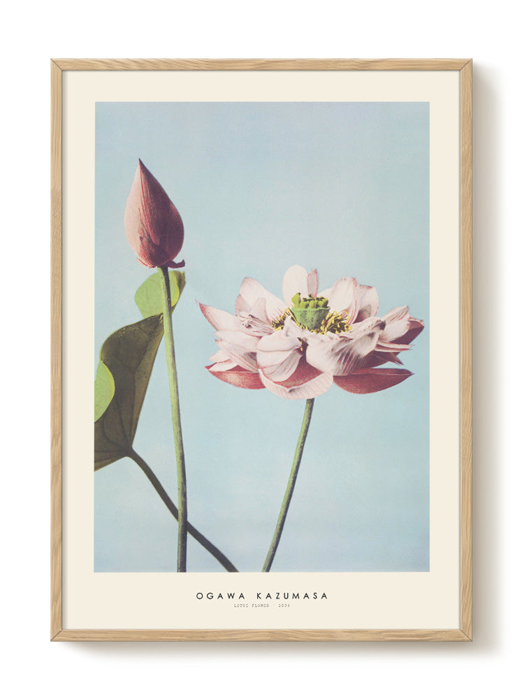 minimalist portrait portrait Poster