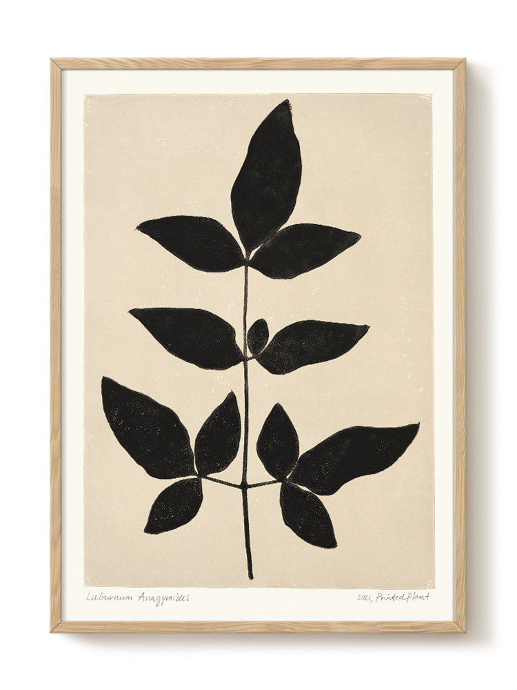 abstract portrait portrait black Poster