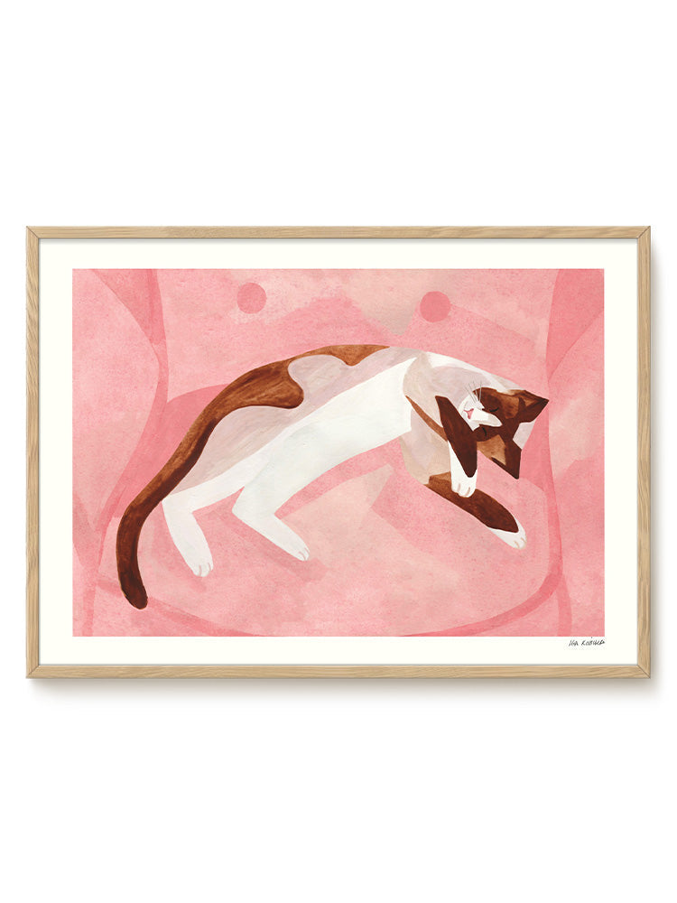 Iga Kosicka - Sleeping cat – modern wall art print, Falcozi Studio