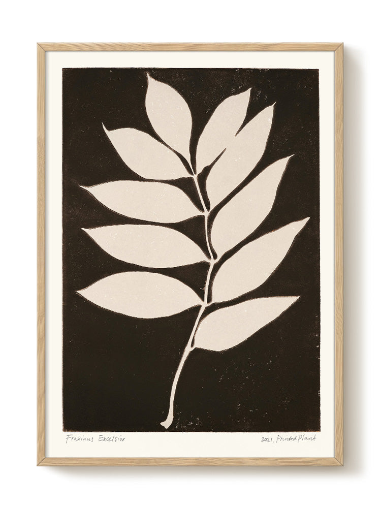 abstract portrait portrait black Poster