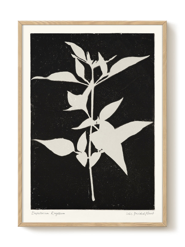 abstract portrait portrait black Poster