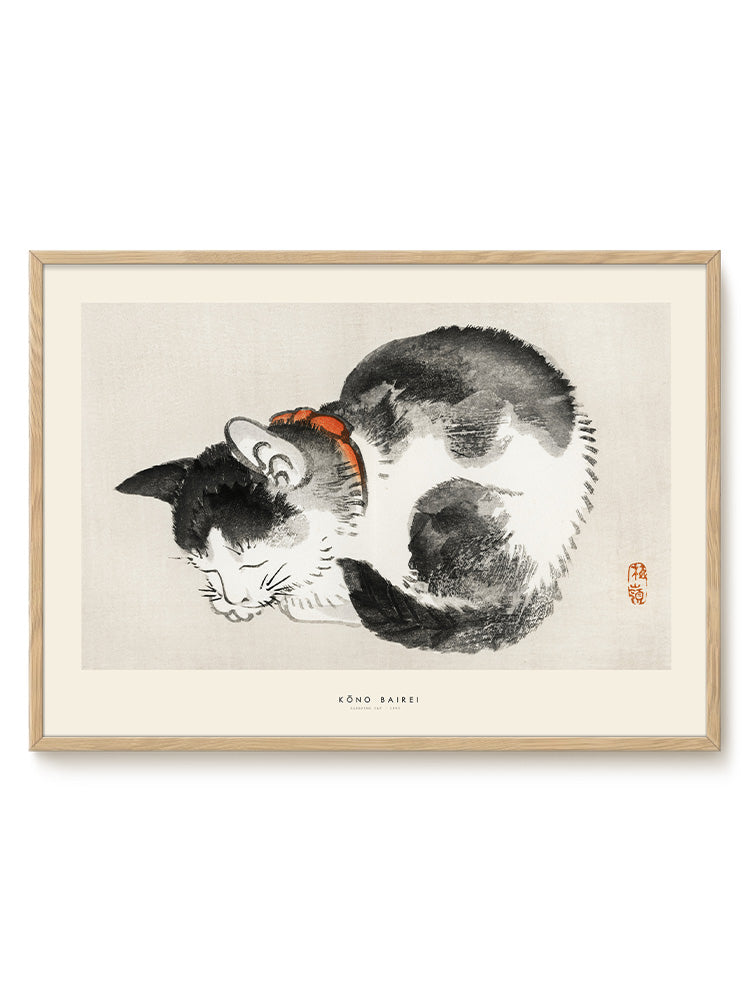 Kōno Bairei - Sleeping cat – modern wall art print, Falcozi Studio