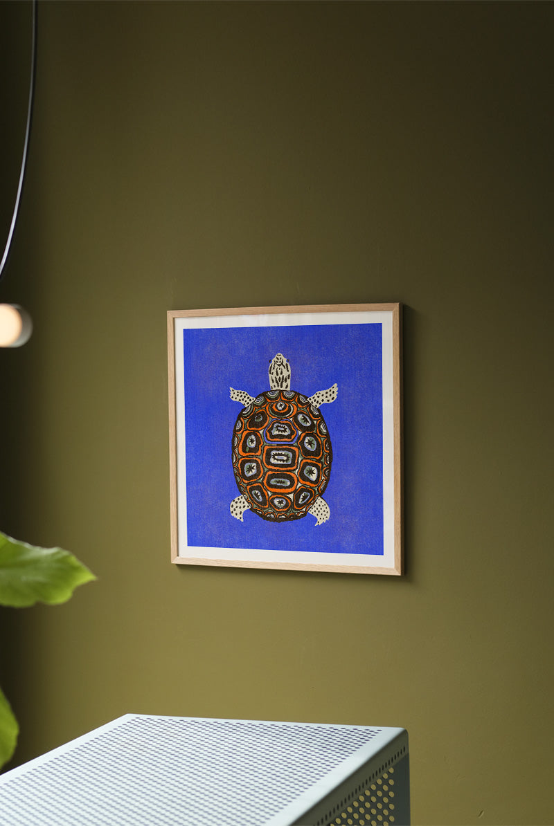 Enikő Eged - Turtle Blue