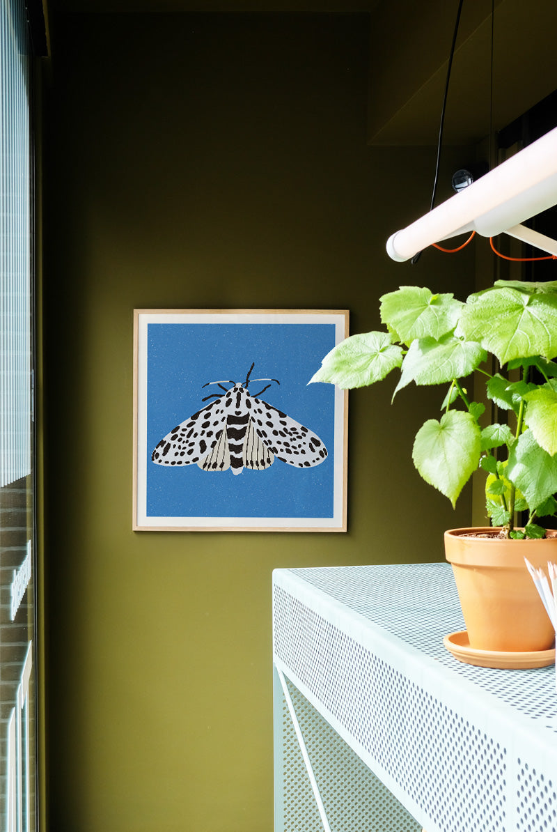 Enikő Eged - Tiger Moth