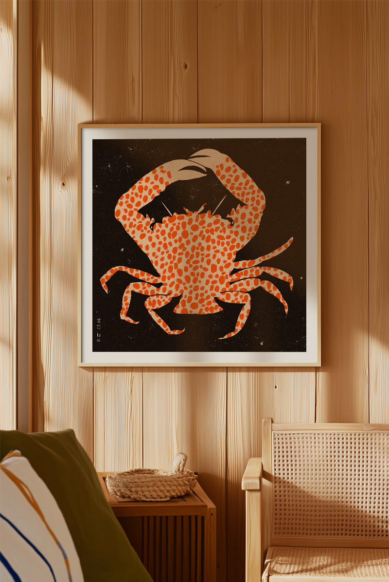 Enikő Eged - Spotted Calico Crab