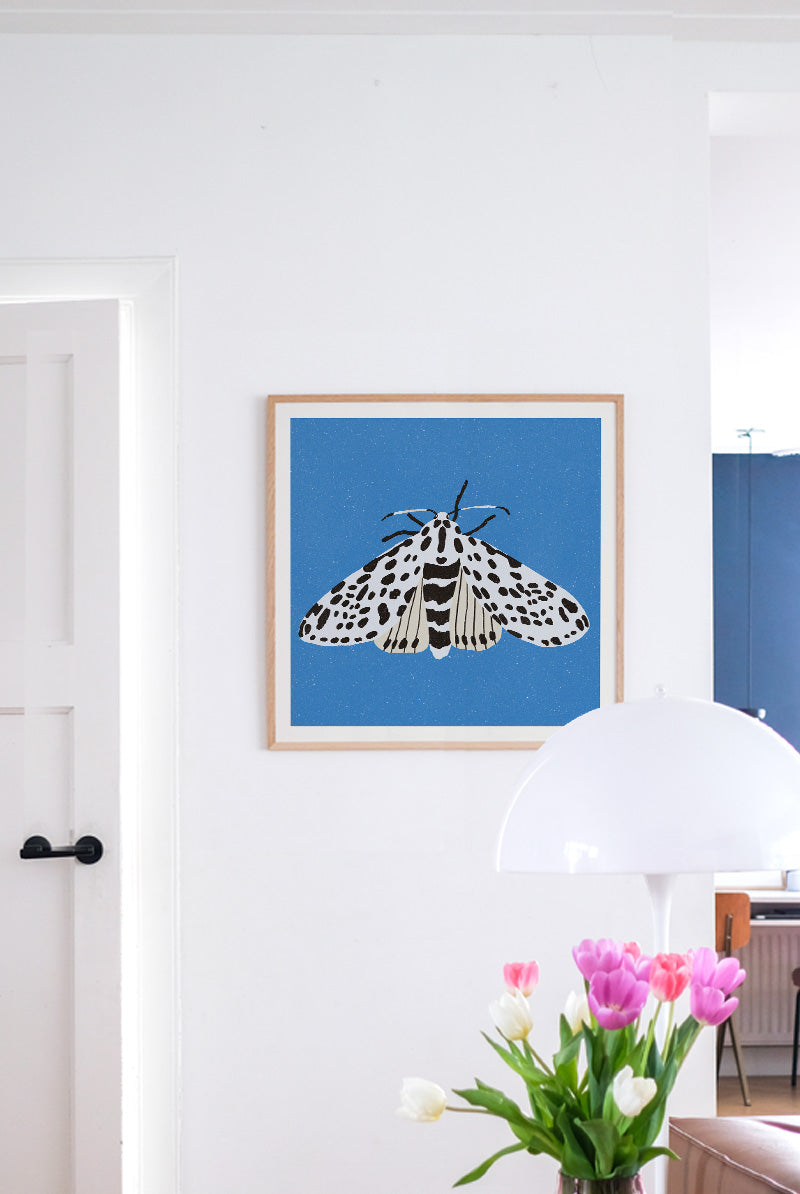 Enikő Eged - Tiger Moth