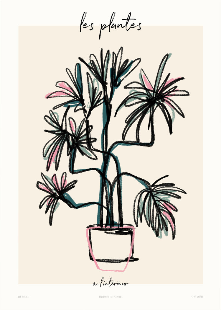 Zoe - Les Plantes - à l'intérieur