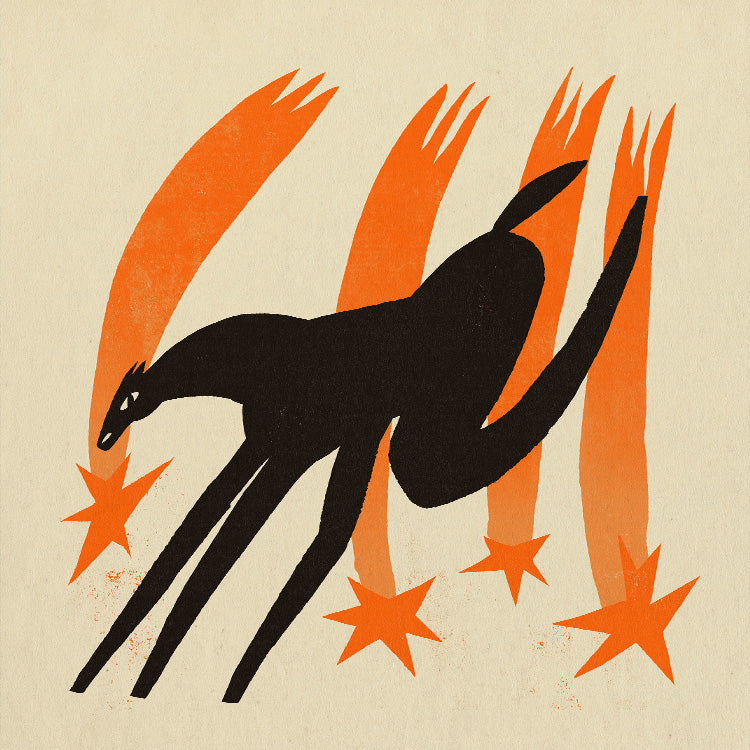 Enikő Eged - Shooting Stars