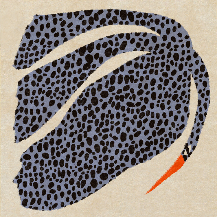 Enikő Eged - Spotted Bird