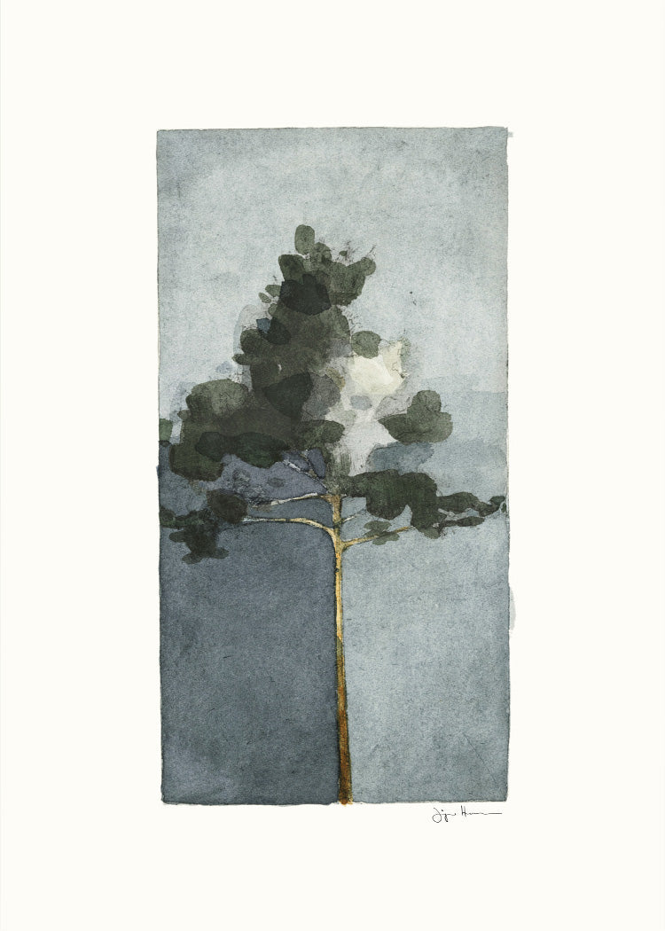 Jörgen Hansson - Pine II