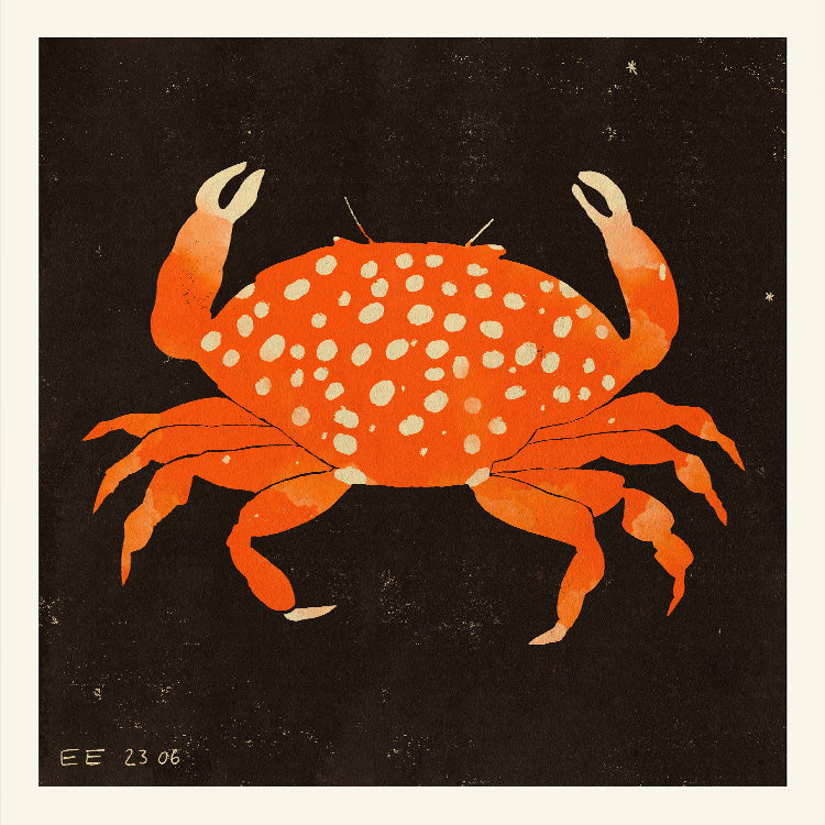 Enikő Eged - Spotted Crab