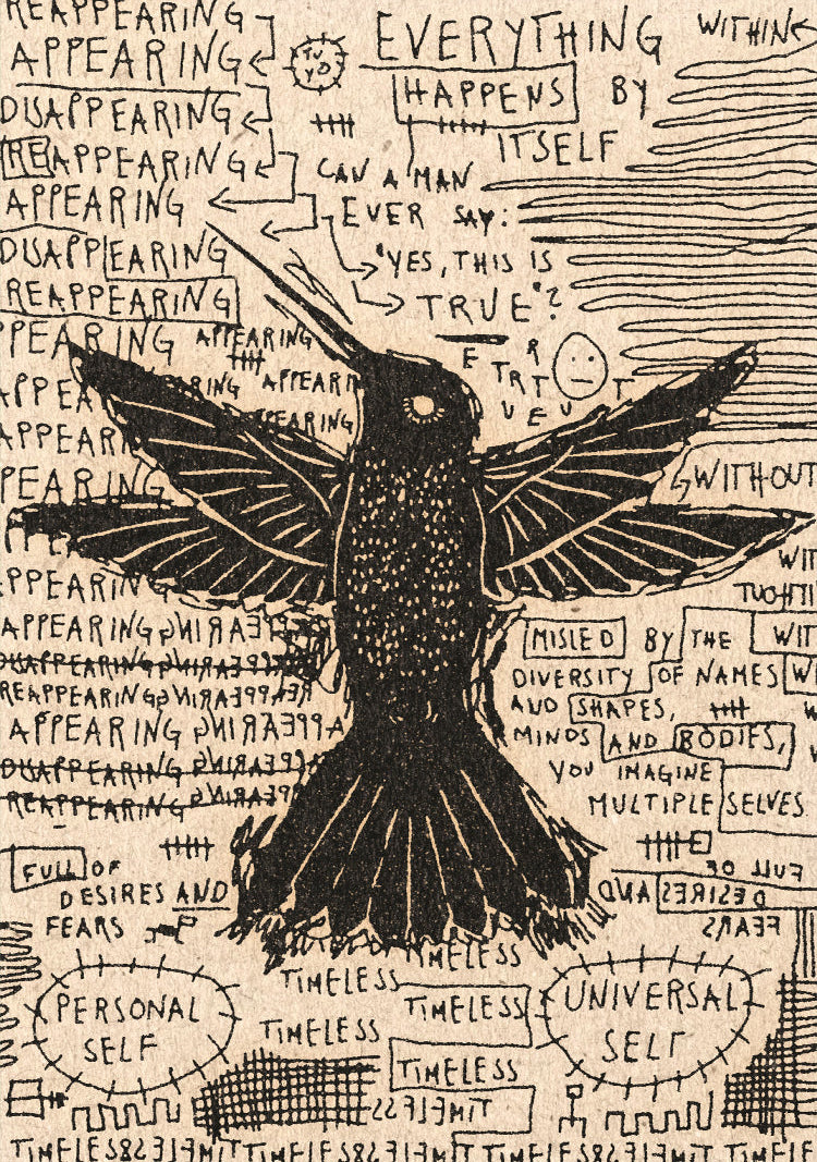David Schmitt - El Colibri