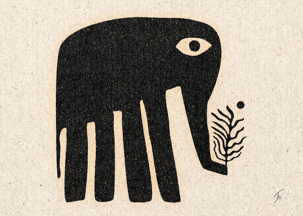 David Schmitt - Elephant