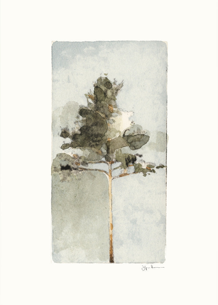 Jörgen Hansson - Pine I