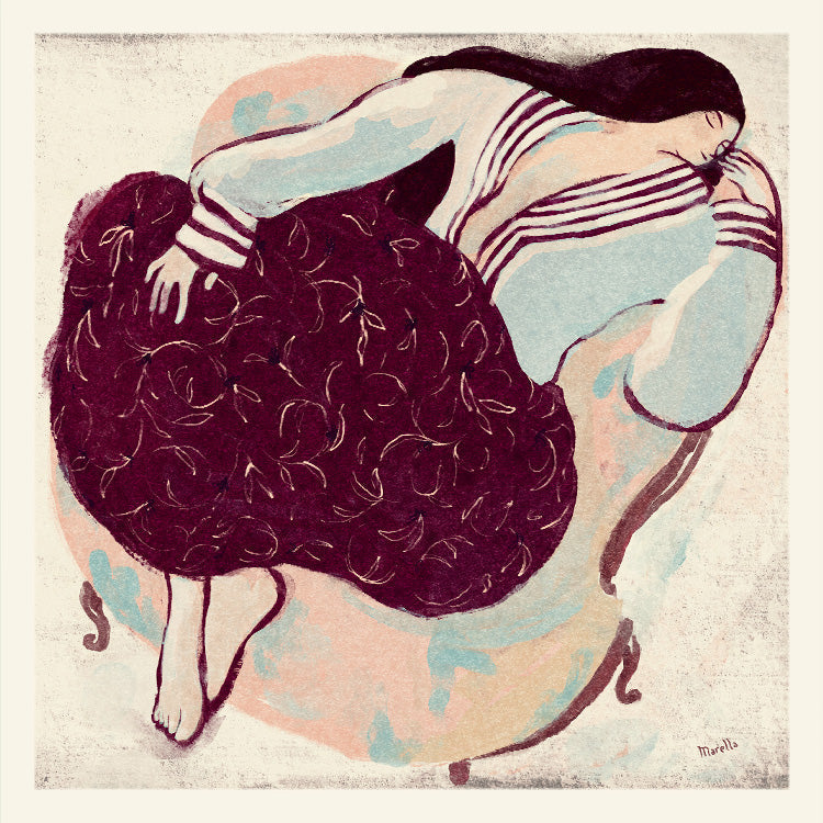 Marco - Restful Rose