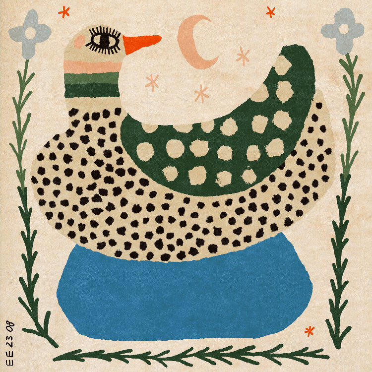 Enikő Eged - Spotted Duck