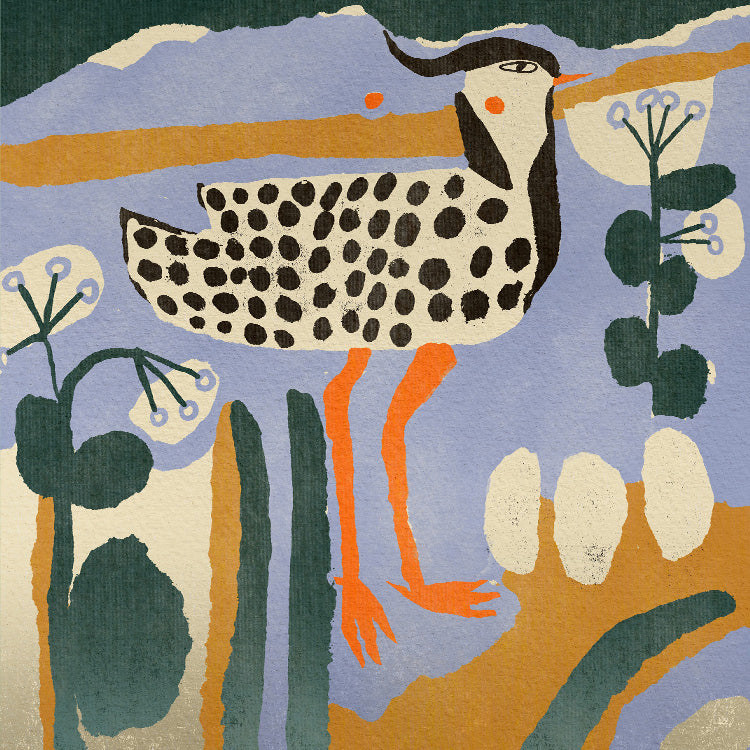 Enikő Eged - Spotted bird