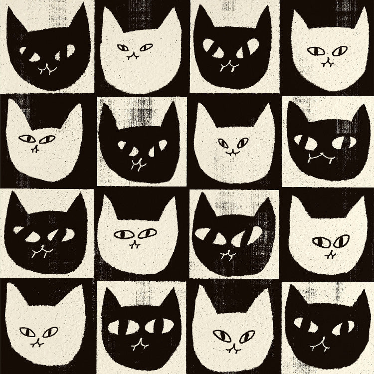 Enikő Eged - Black Cat White Cat