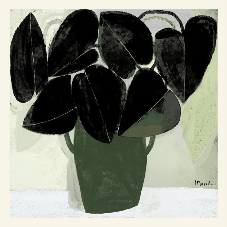 Marco - Plant V