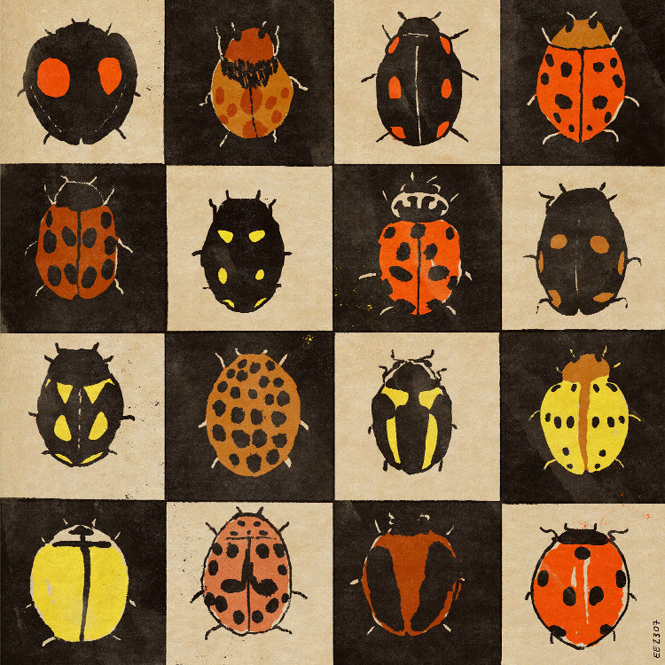 Enikő Eged - Ladybug Bingo