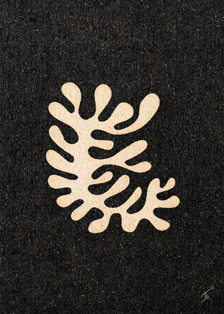 David Schmitt - Ode to the French