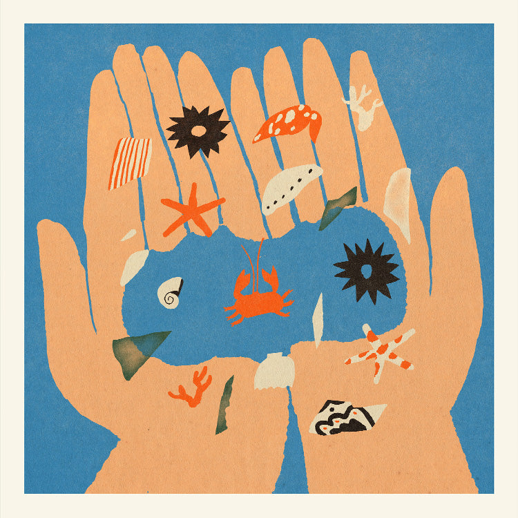 Enikő Eged - Sea life