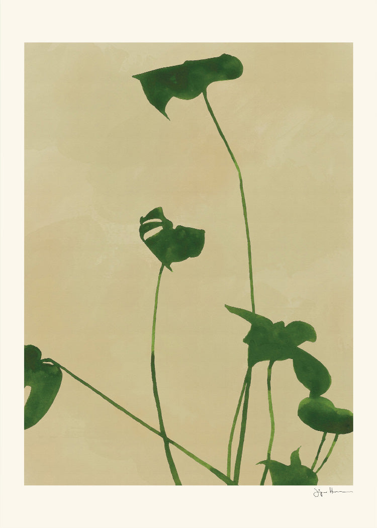 Jörgen Hansson - Monstera lI