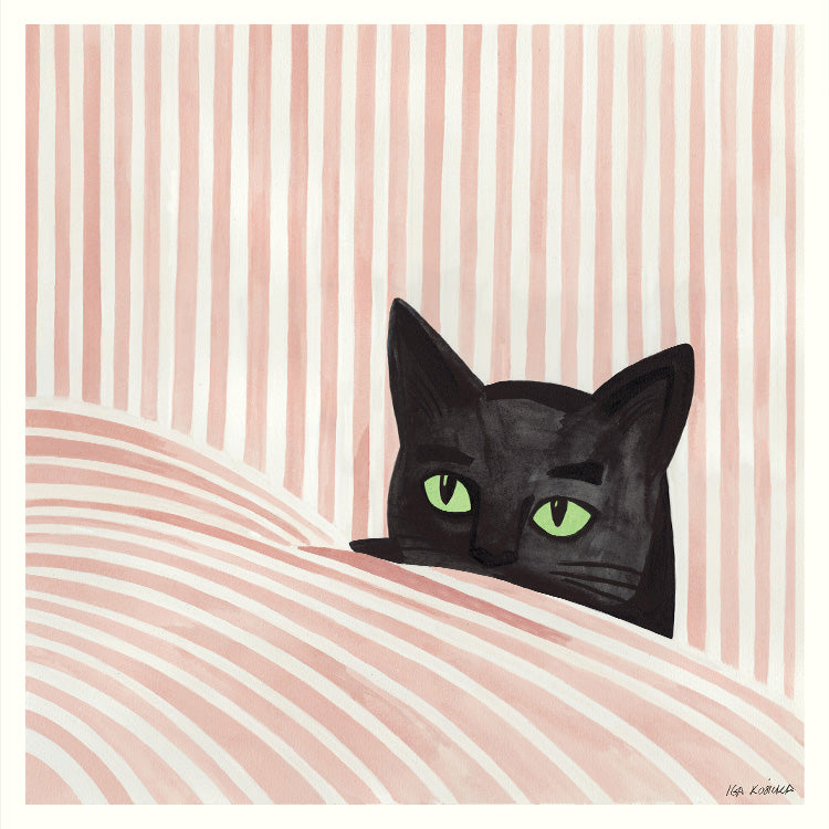 Iga Kosicka - Black cat