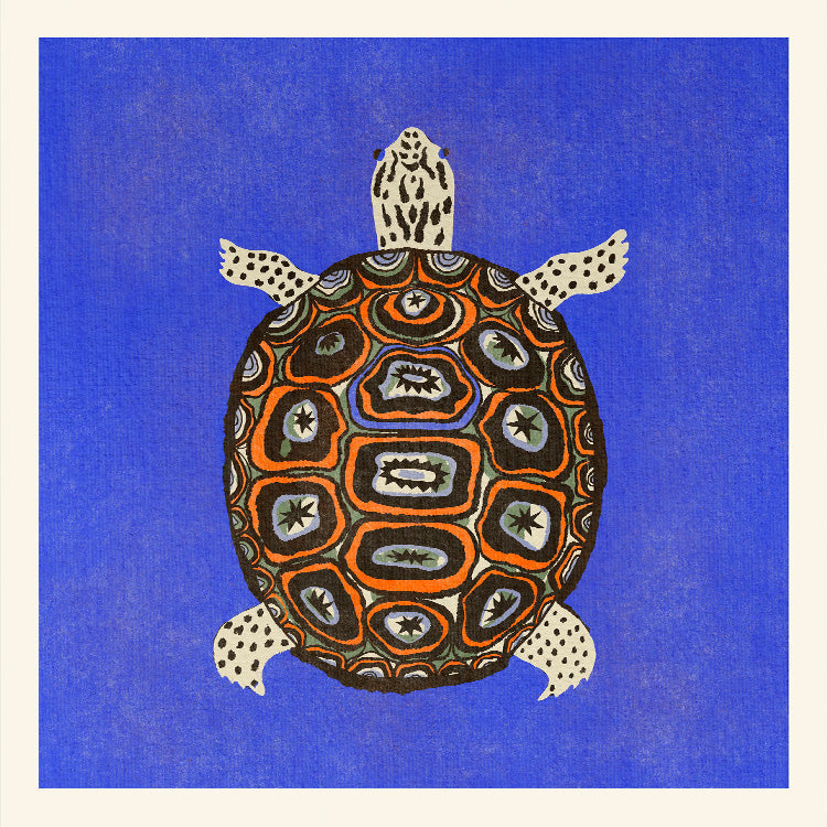 Enikő Eged - Turtle Blue