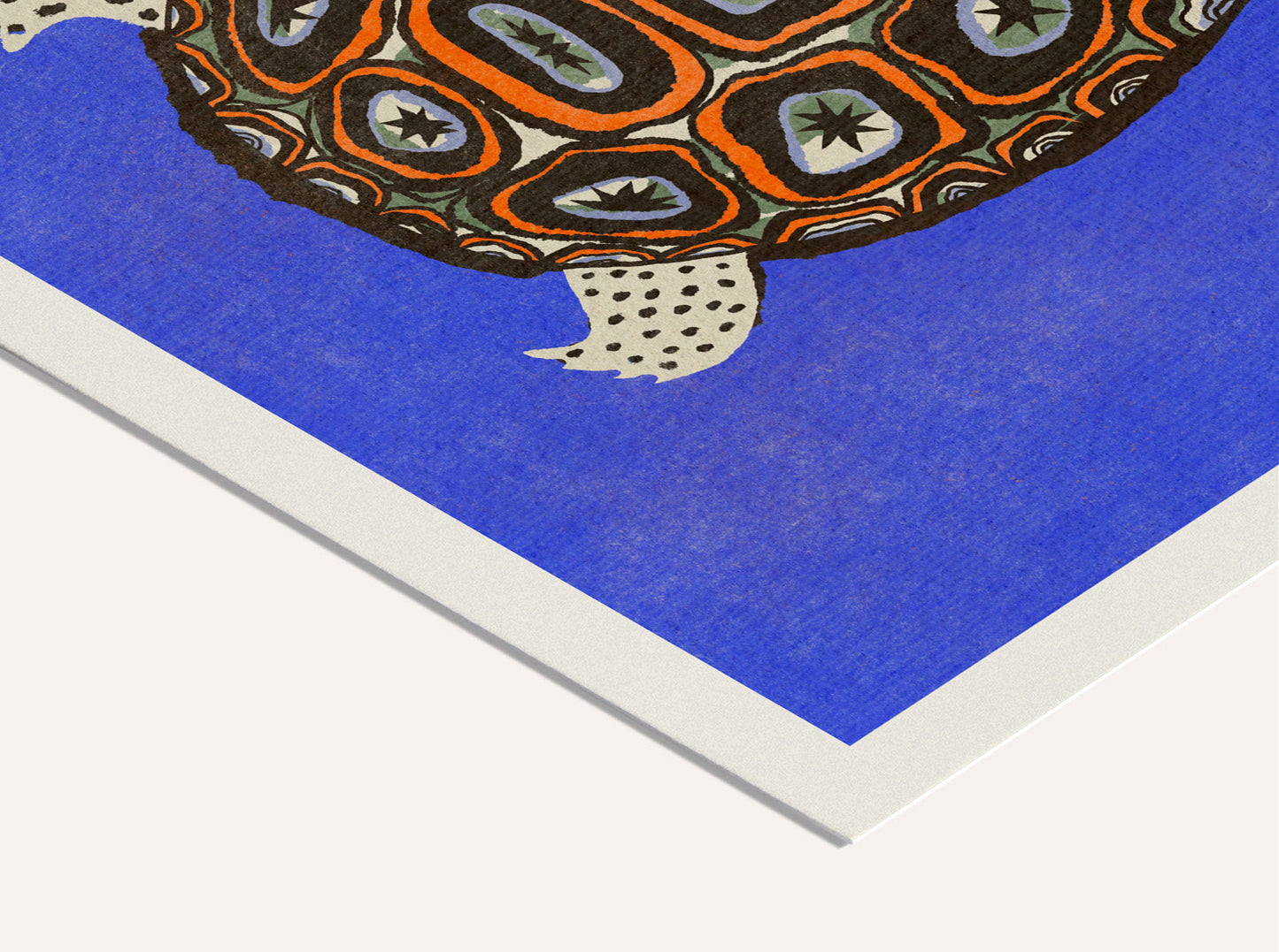 Enikő Eged - Turtle Blue