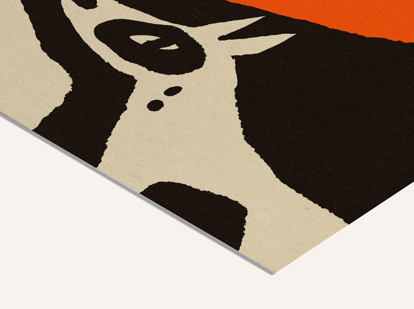 Enikő Eged - Spotted baby horse with her mom