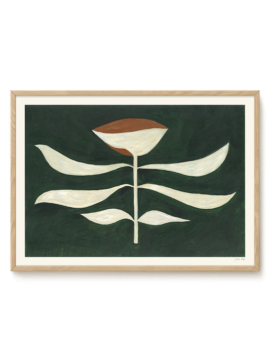 Julita Elbe - Tulip – modern wall art print, Falcozi Studio
