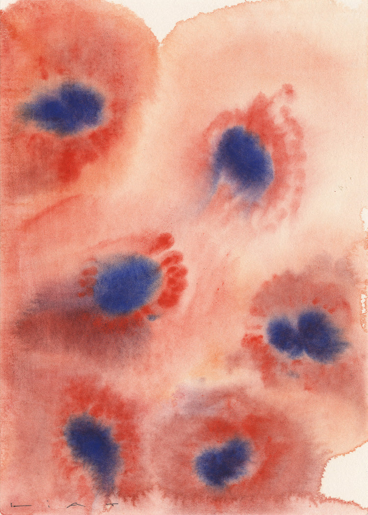 Liat Greenberg - Red Flowers