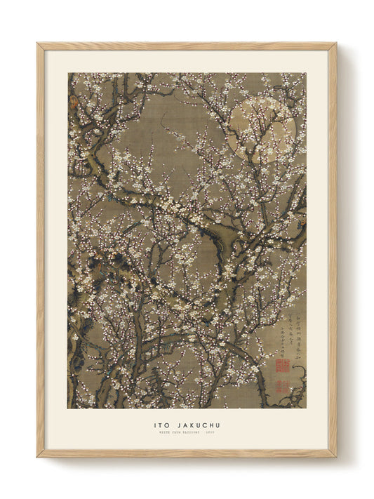 Ito Jakuchu - White plum – modern wall art print, Falcozi Studio