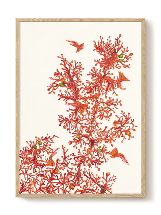 Jaron Su - Fire Bloom – modern wall art print, Falcozi Studio