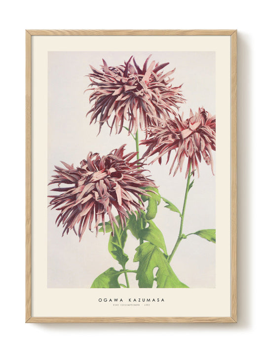 minimalist portrait portrait Poster