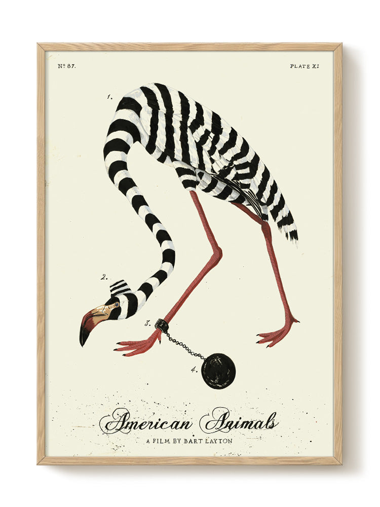 vintage portrait portrait Poster