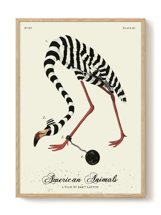 vintage portrait portrait Poster