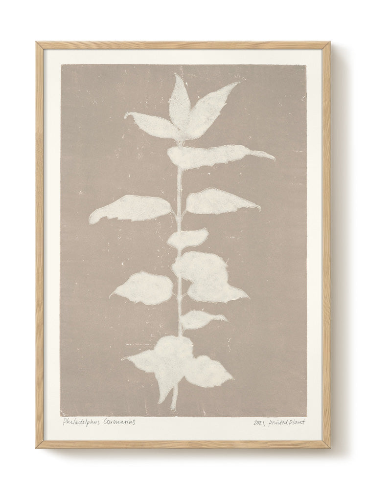 abstract portrait portrait black Poster