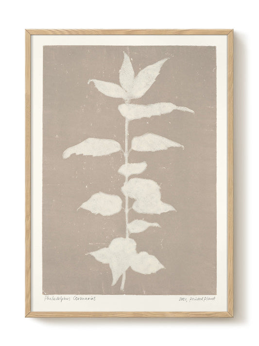 abstract portrait portrait black Poster