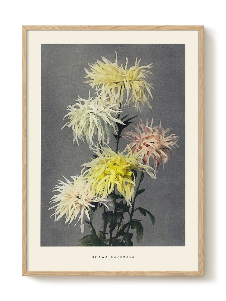 minimalist portrait portrait Poster