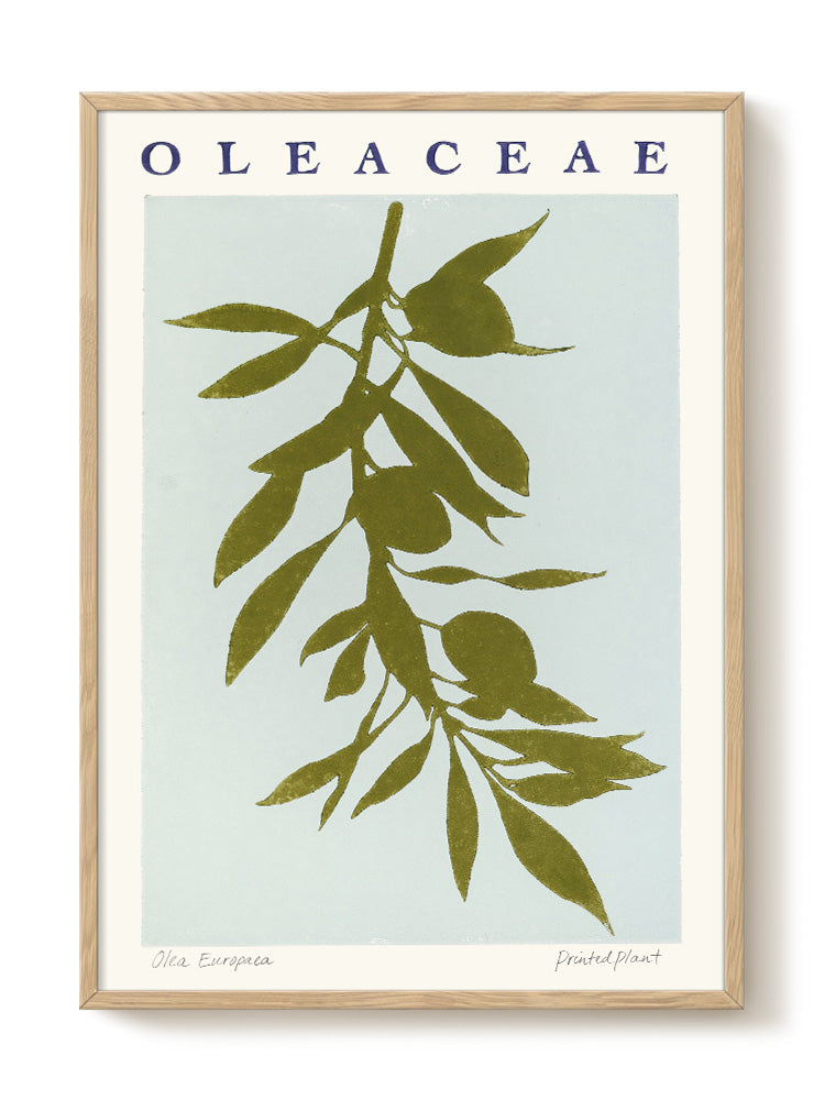 abstract portrait portrait black Poster