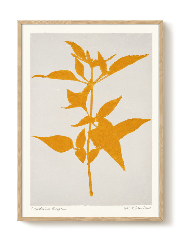 abstract portrait portrait Poster