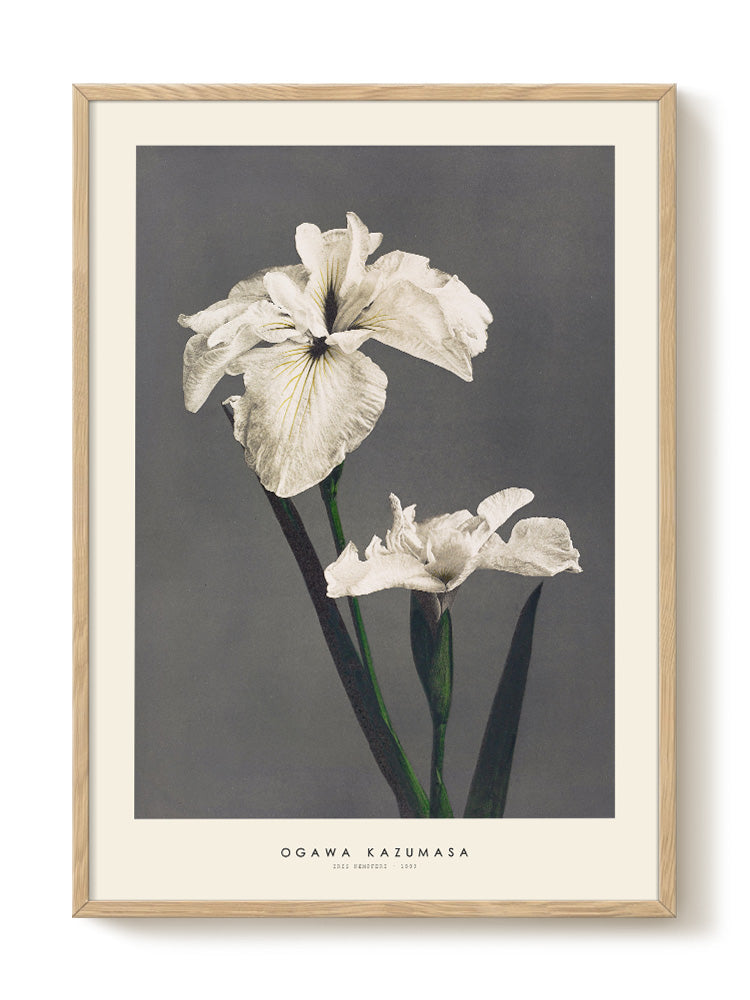 minimalist portrait portrait Poster