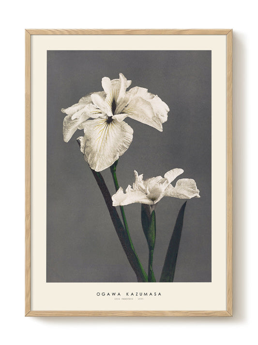 minimalist portrait portrait Poster