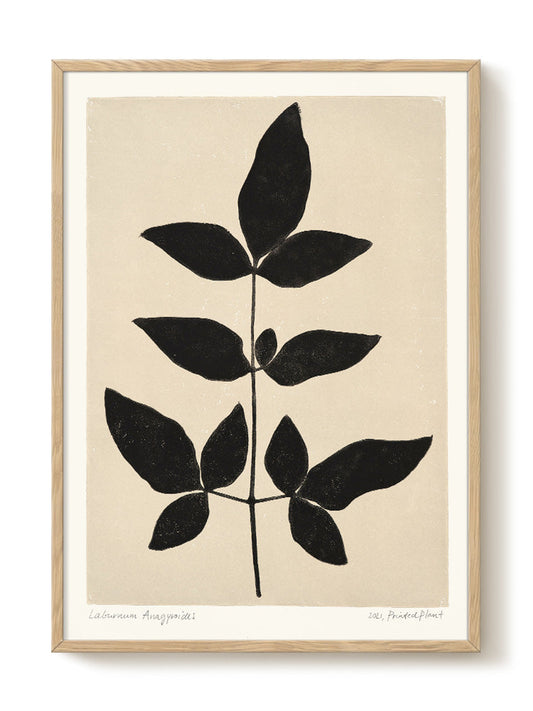 abstract portrait portrait black Poster