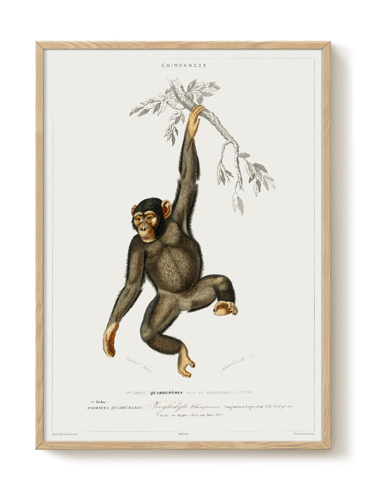 vintage portrait portrait Poster